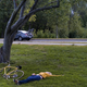 Illustration for article titled Daytime Napping Linked to Increased Risk of Death